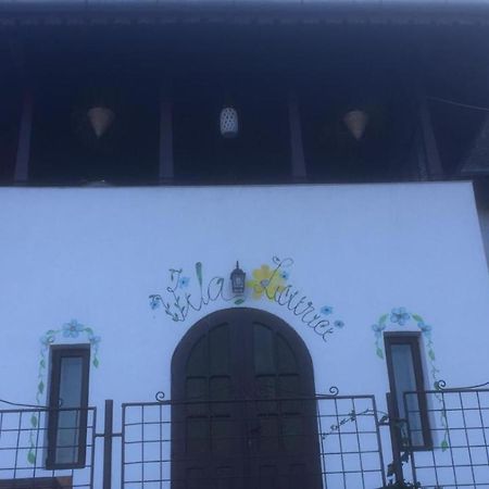 Vila Licurici Качулата Екстериор снимка